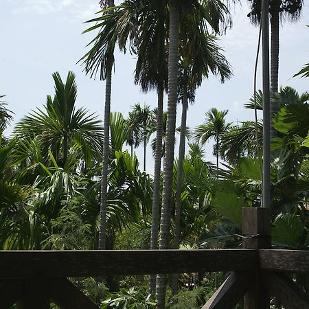 Lila Homestay Hội An Kültér fotó