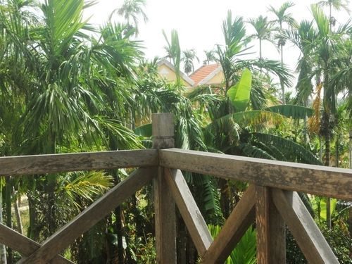 Lila Homestay Hội An Kültér fotó
